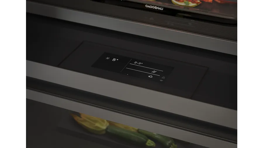 Gaggenau RVC497190 Vario ugradni frižider serije Expressive 213.4 x 90 cm, fotografija 3