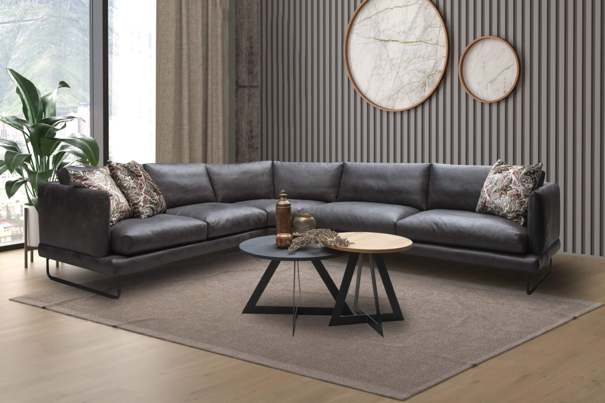 Moderna sofa Jackson, fotografija 7